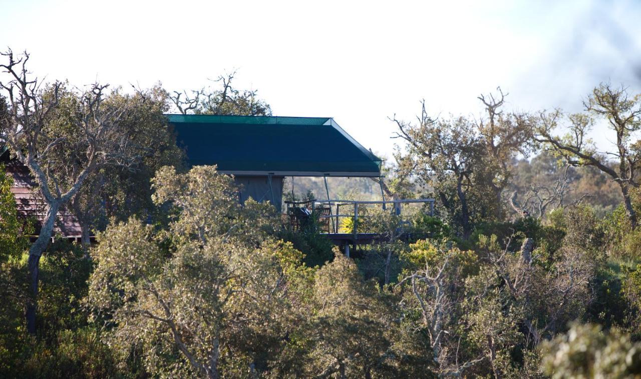 Eco Glamping Portugal Nature Lodge 圣路易斯 外观 照片