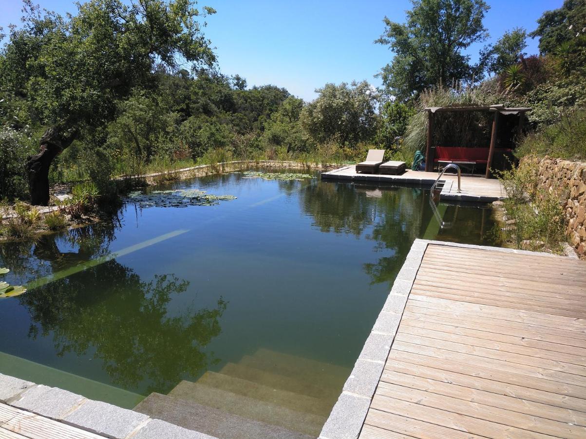 Eco Glamping Portugal Nature Lodge 圣路易斯 外观 照片