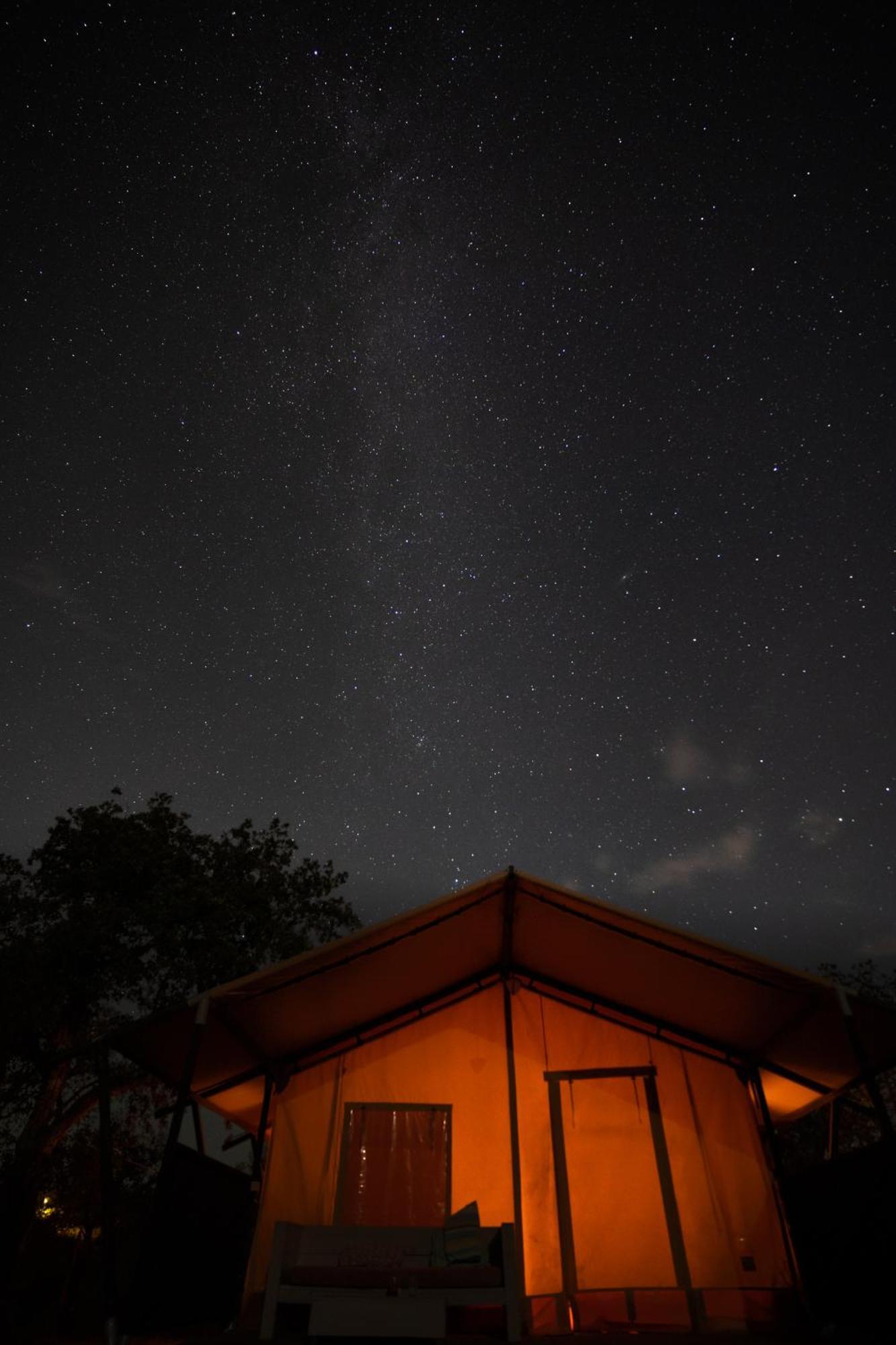 Eco Glamping Portugal Nature Lodge 圣路易斯 外观 照片