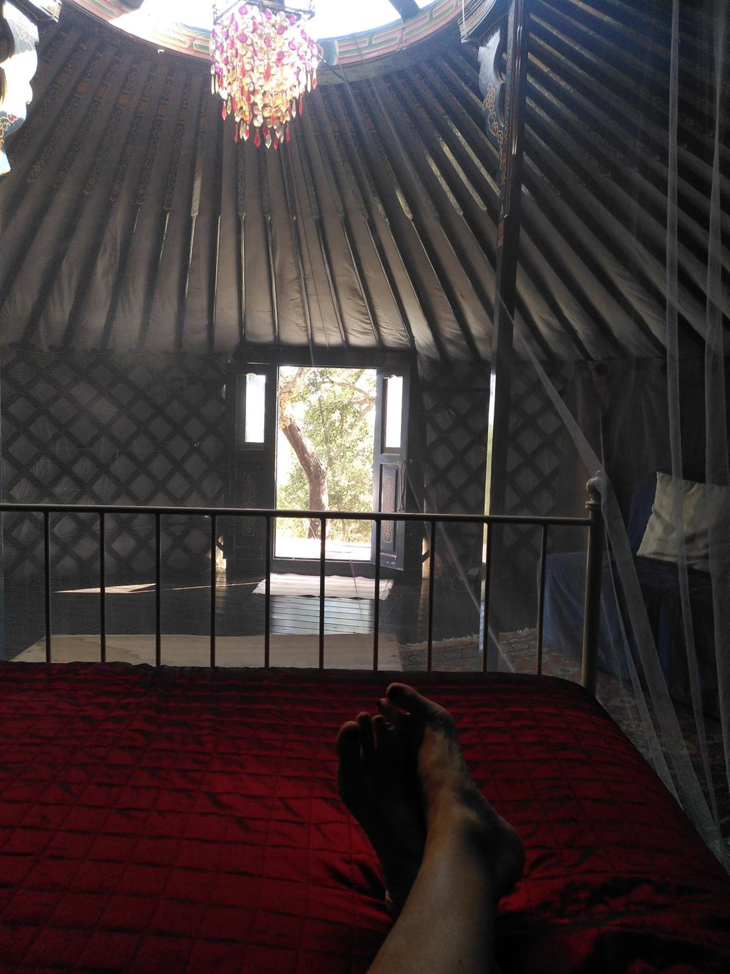 Eco Glamping Portugal Nature Lodge 圣路易斯 外观 照片